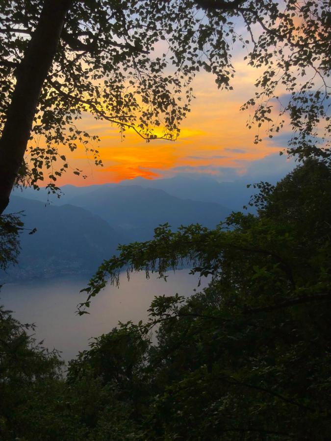 Il Larice D' Oro Aparthotel Sueglio Luaran gambar